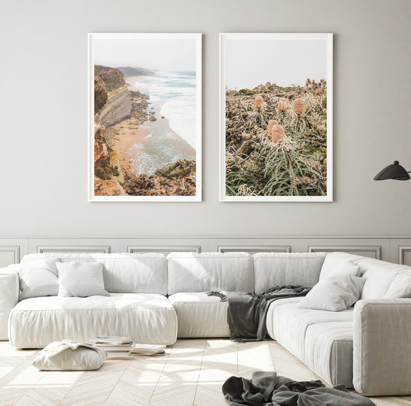 Beach Banksia