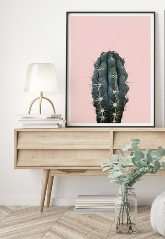 Cactus Craze - Pink